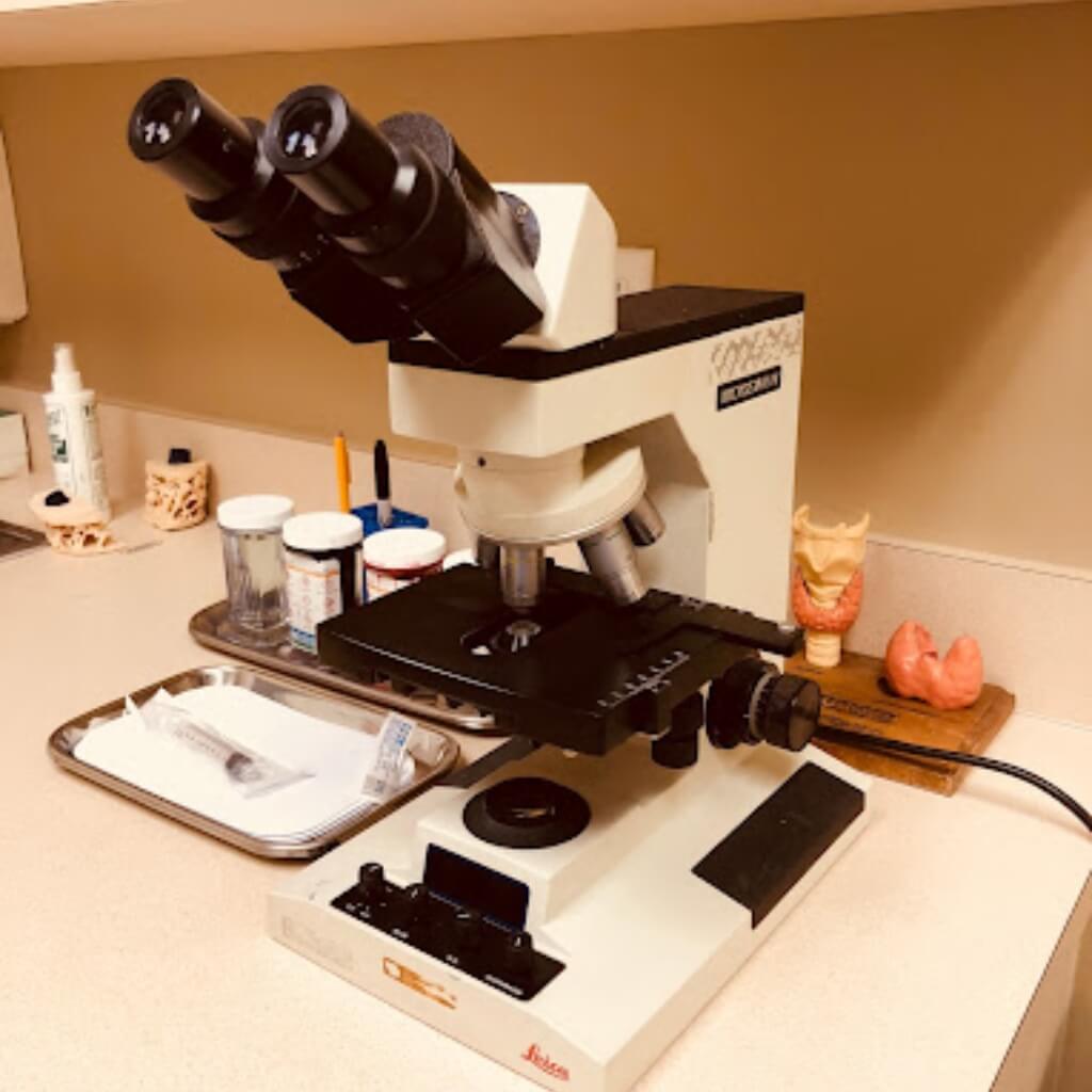 Endocrinology Associates, PA