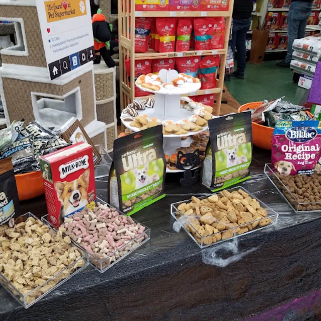 DOG Hotels Wynwood 5