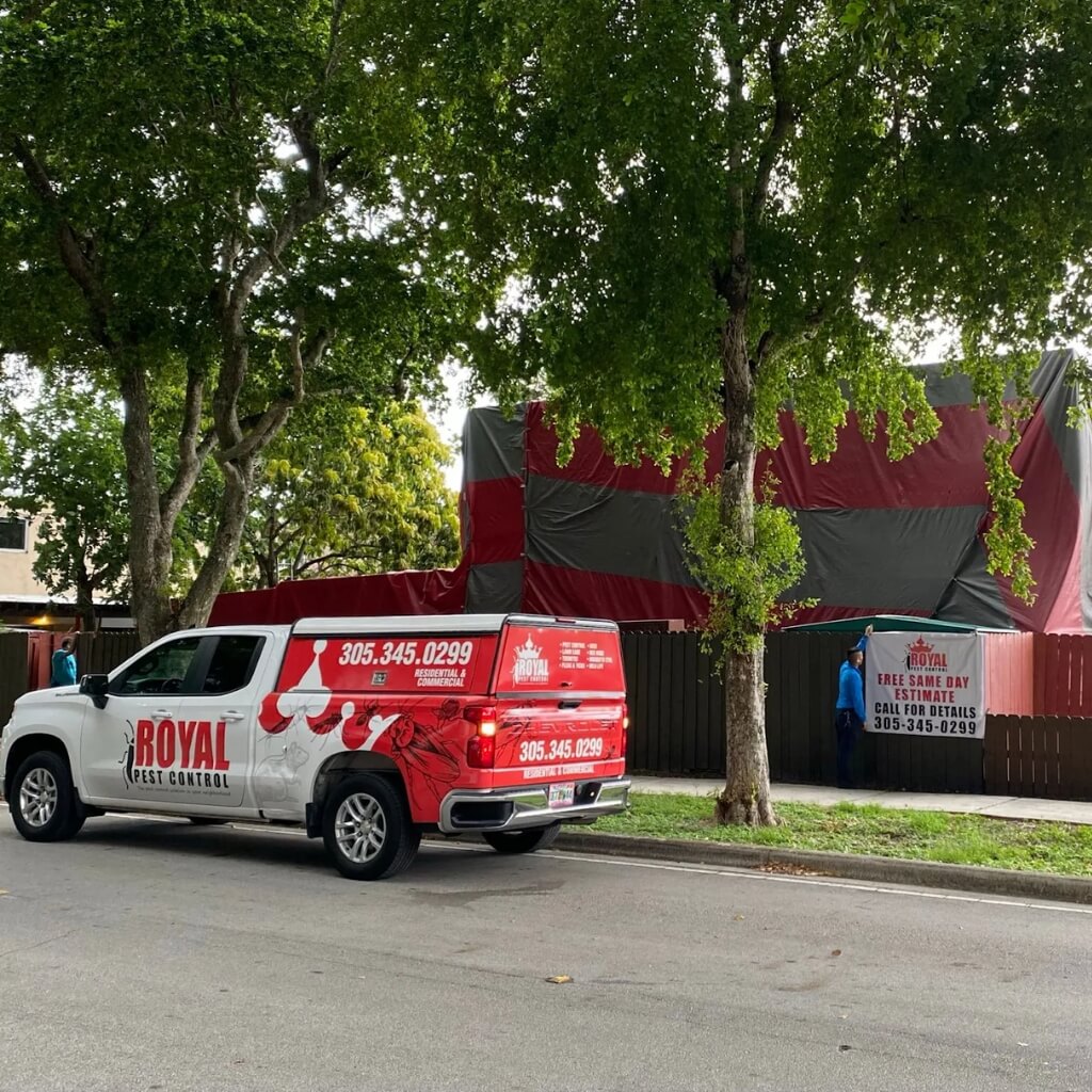 Loyal Pest Control and Termites 5