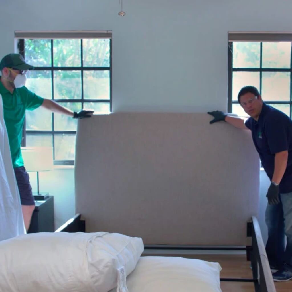 Loyal Pest Control and Termites 5