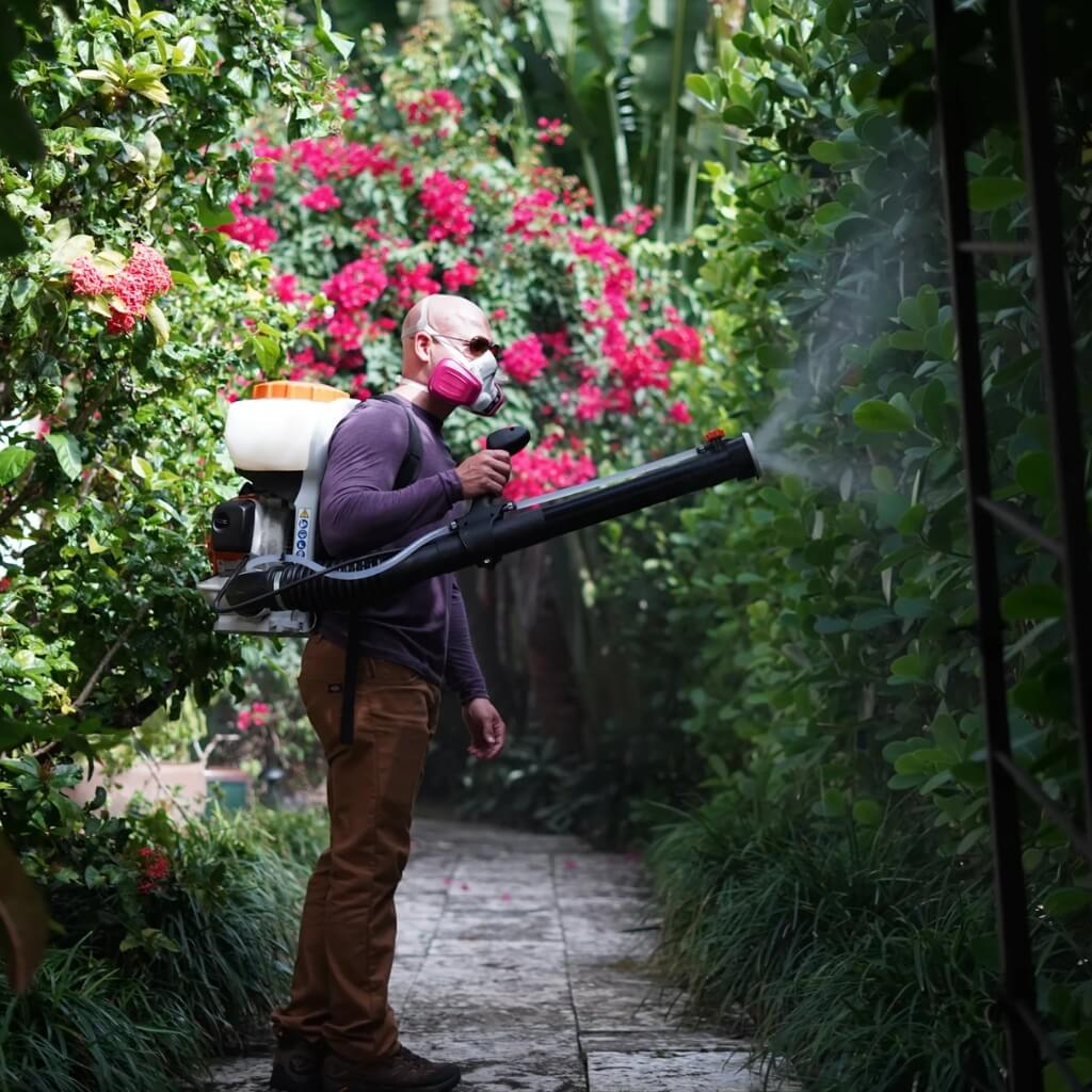 Natural Resources Pest Control Miami 5
