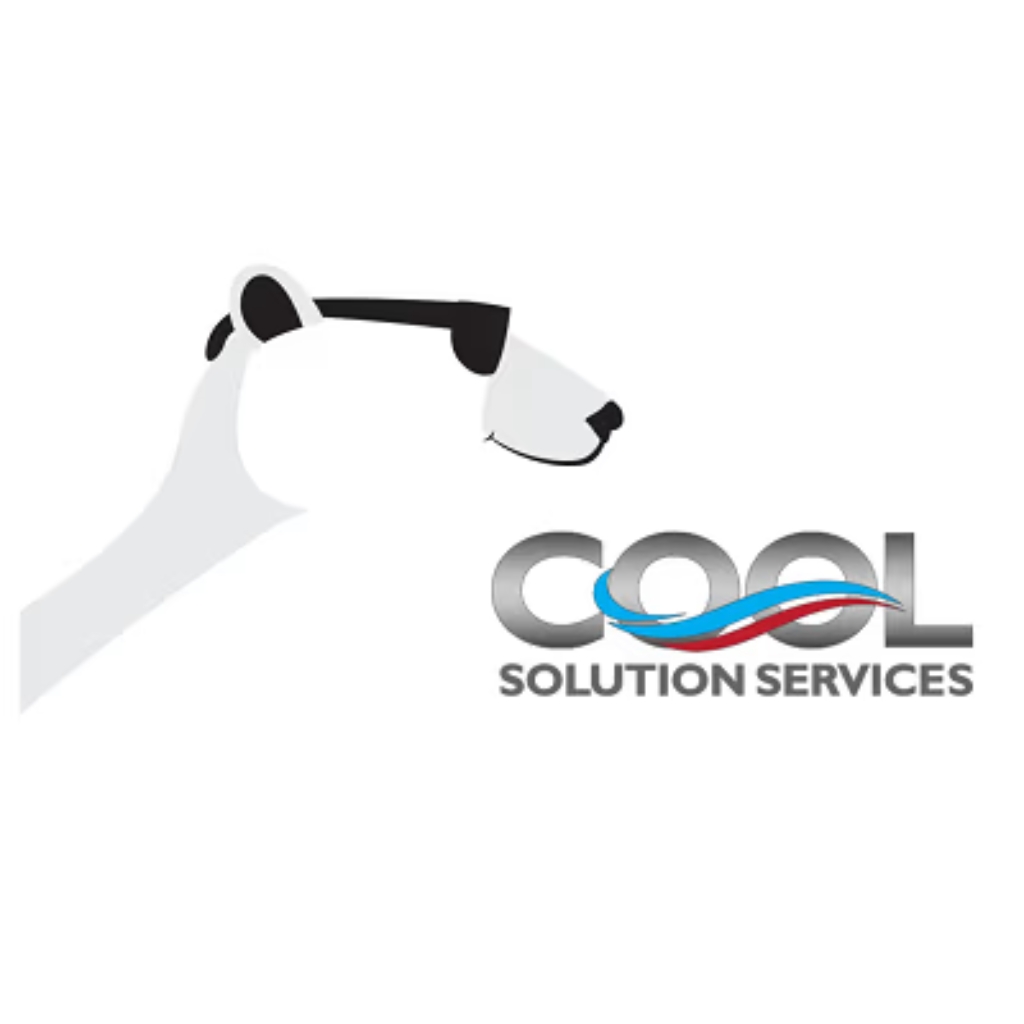 Compañía Cool Solution Services