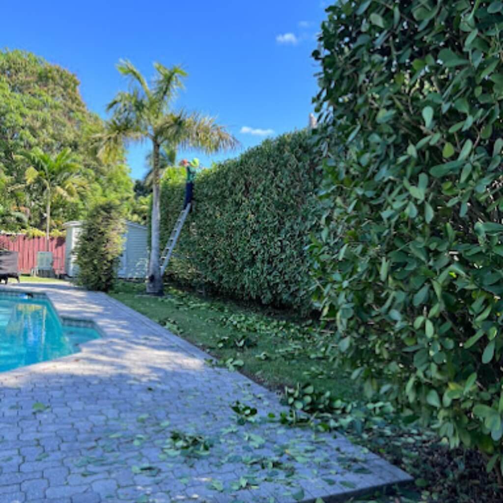 APLICANO LANDSCAPING.LLC 5