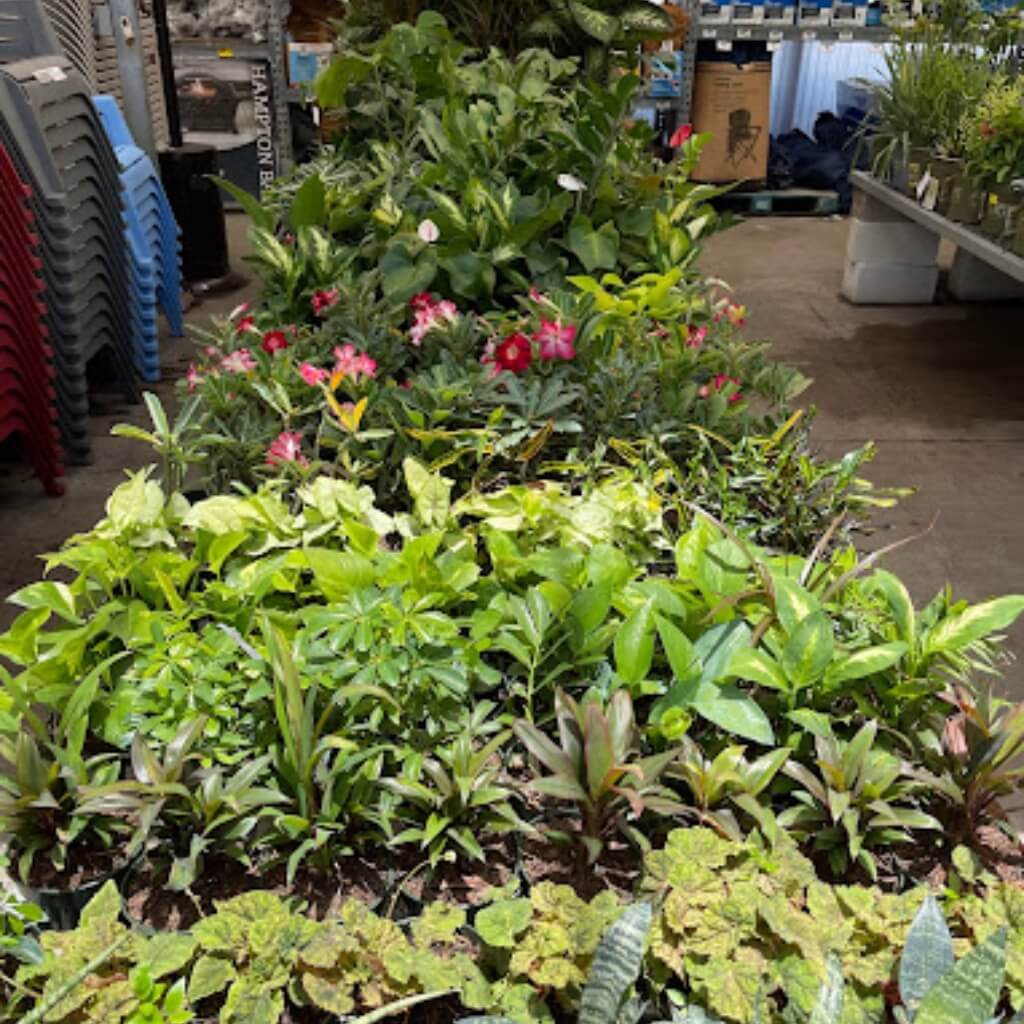 Garden Center at The Home Depot 5