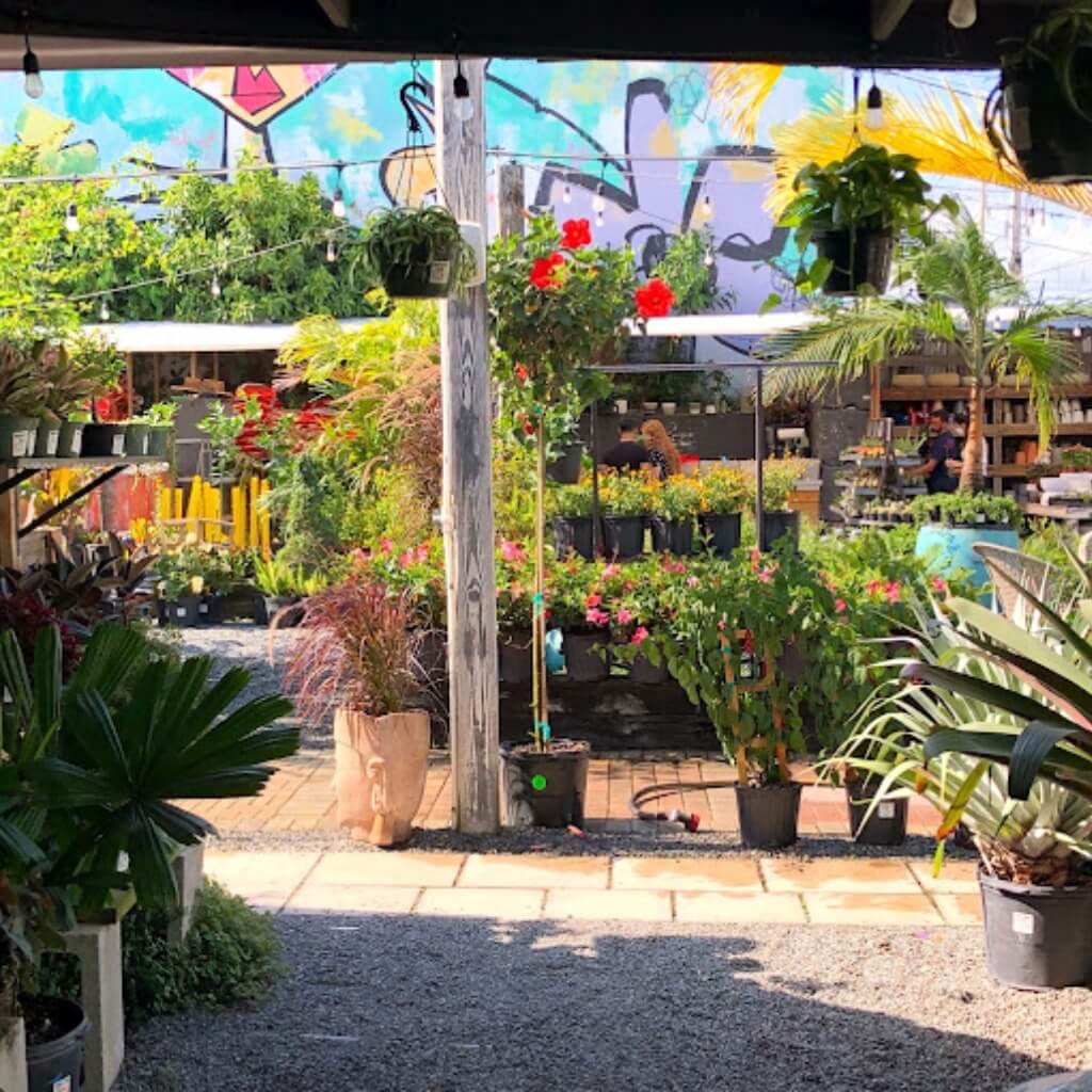 Midtown Garden Center 5