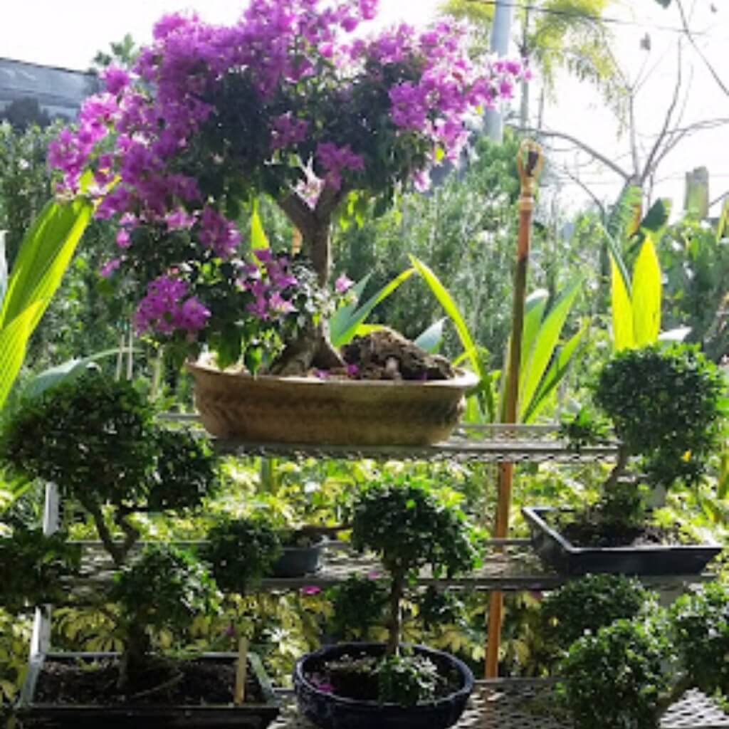 R & R Garden Center 5