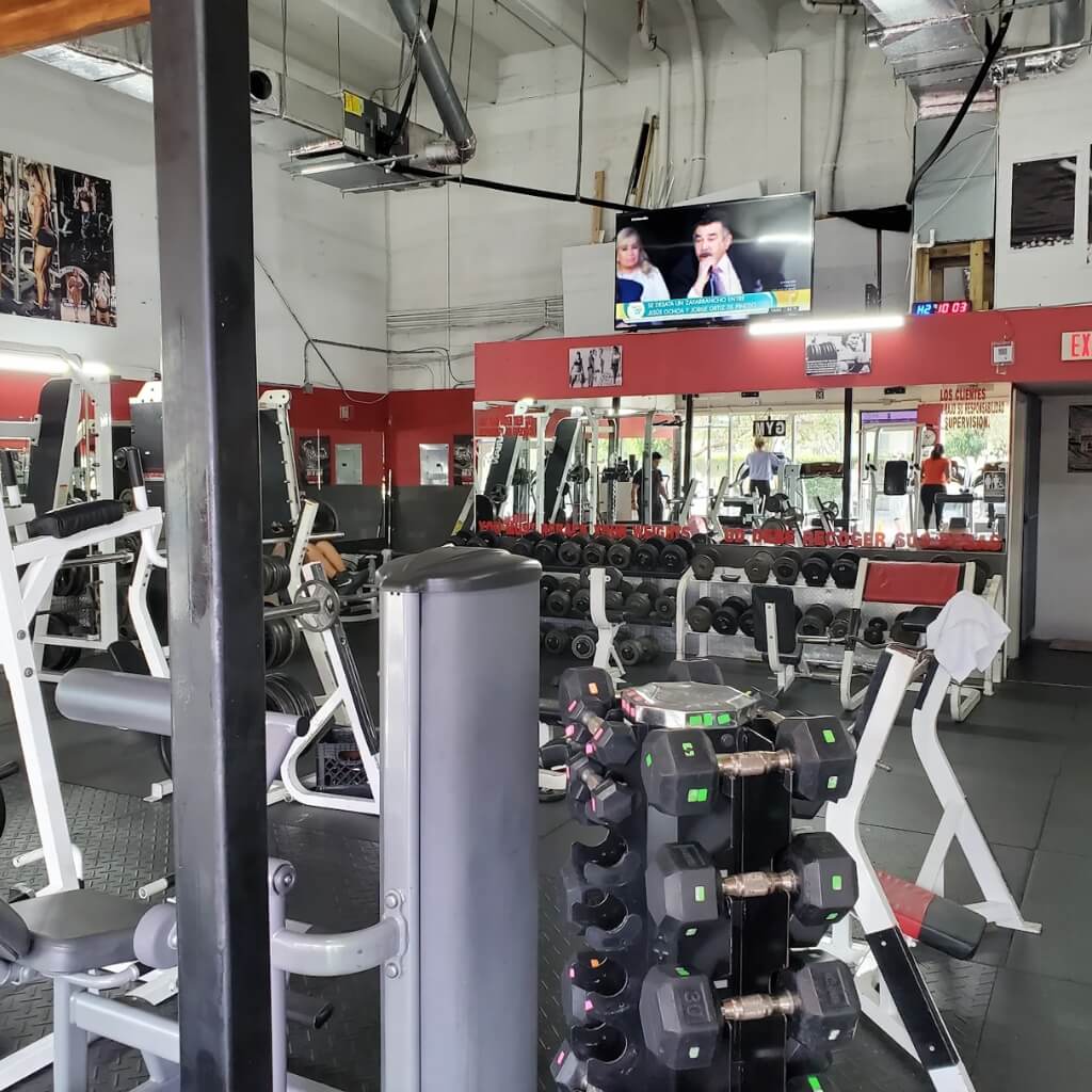 Gallo 8 Gym 5