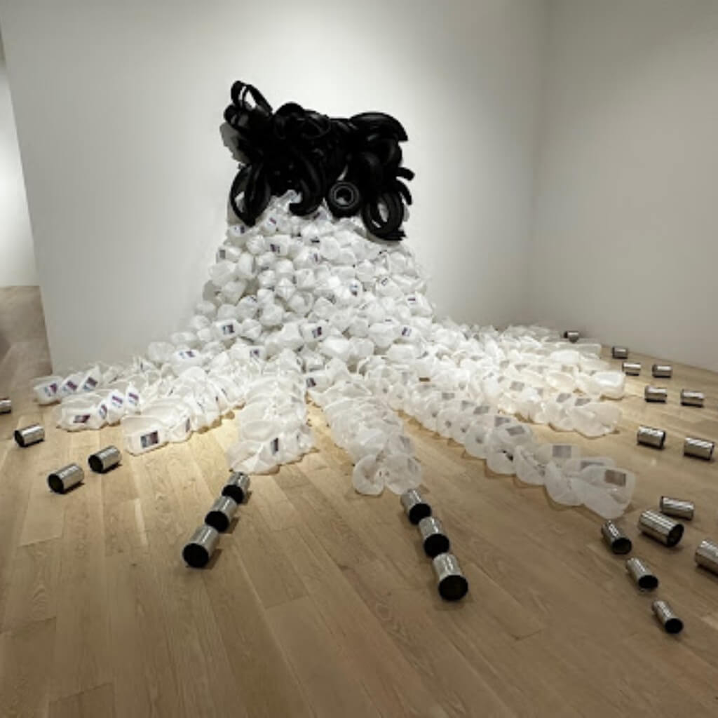 Institute of Contemporary Art, Miami 5