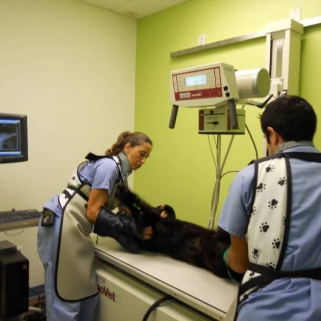 VCA Cabrera Animal Hospital