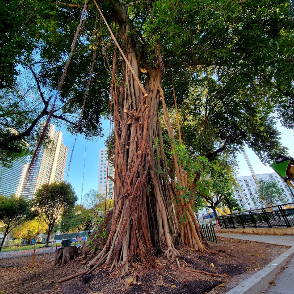Southside Park
