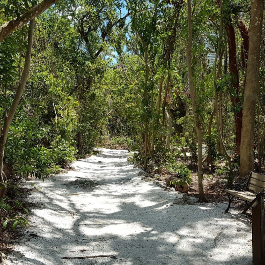 Simpson Park

