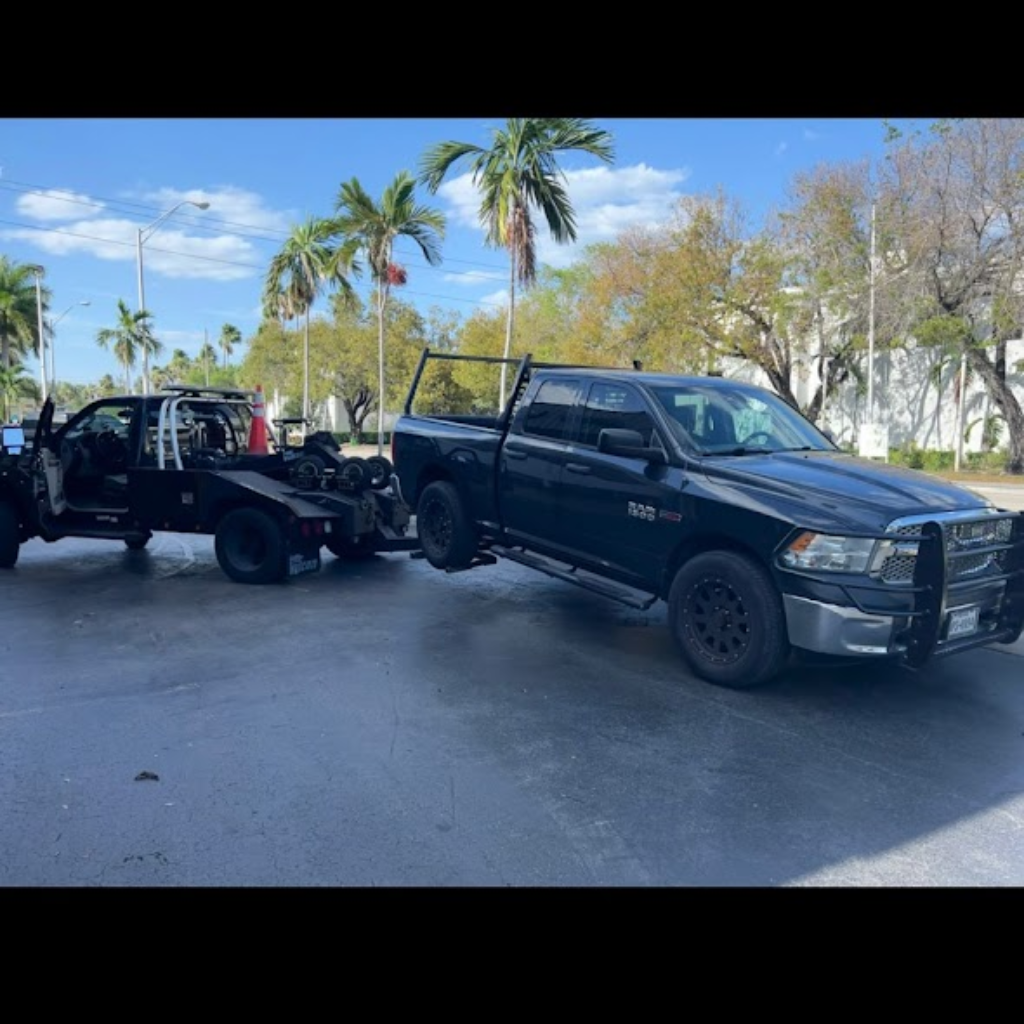 Samuelsontowing grúas