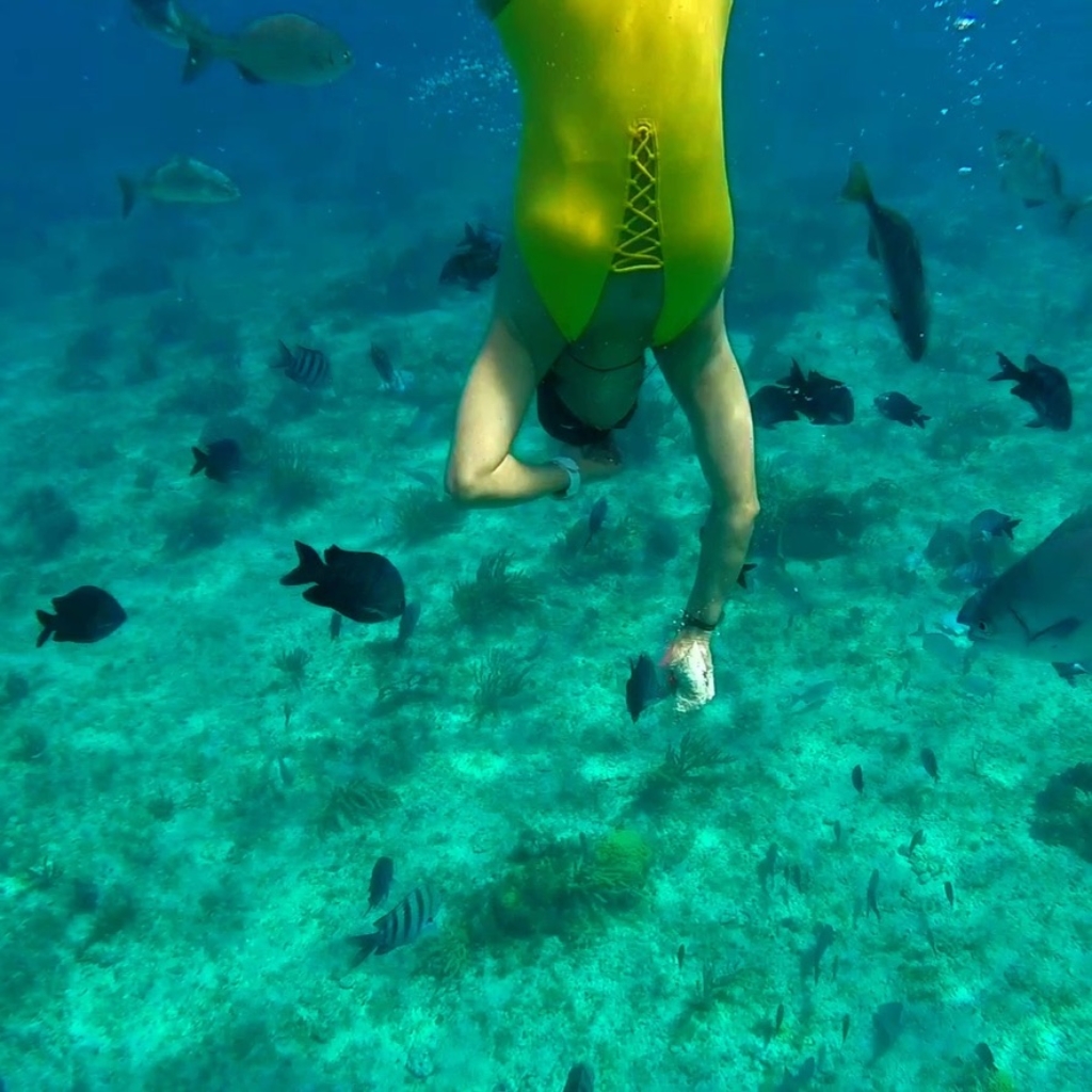 Nadar Swimming Miami
