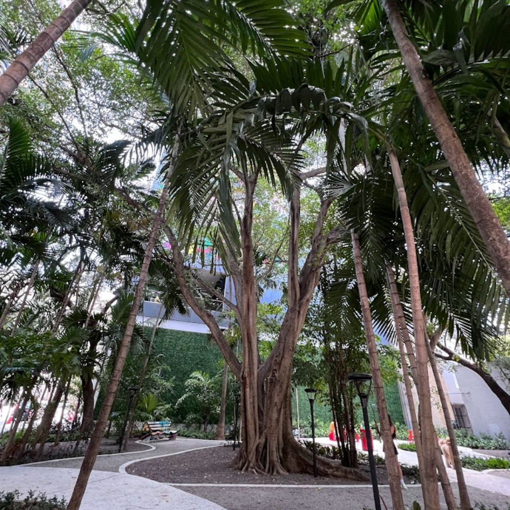 Allen Morris Brickell Park
