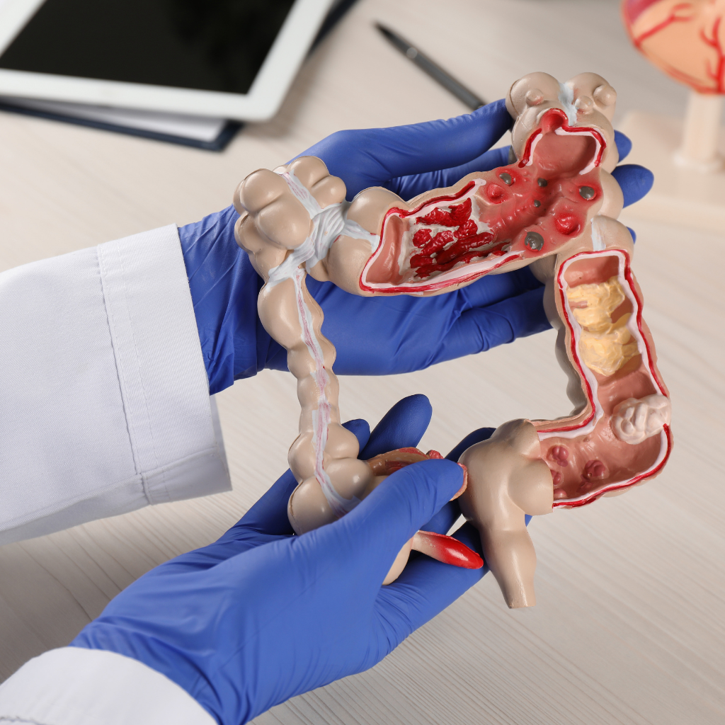 Lichtinger Moises W MD consultas