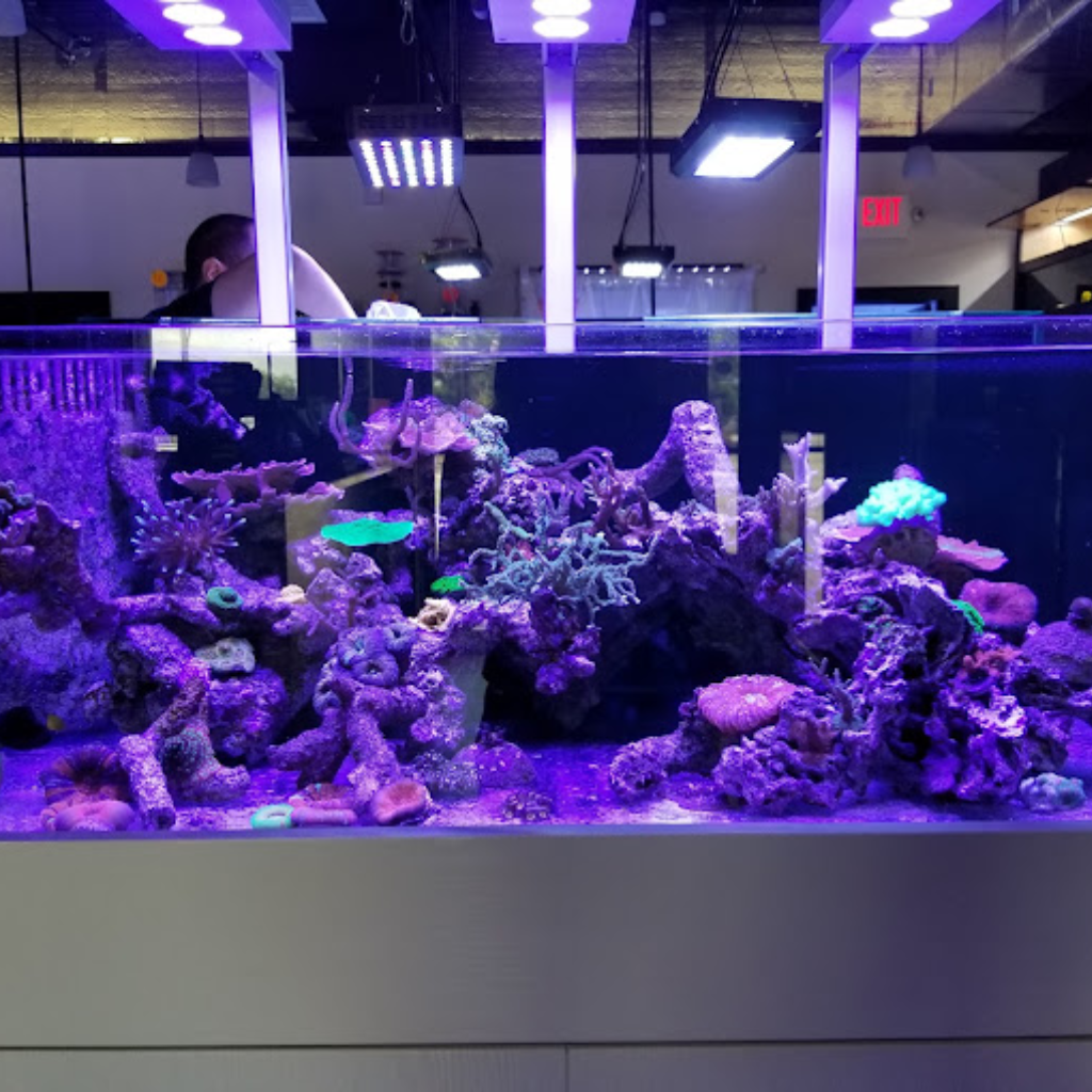 Ocean View Aquariums