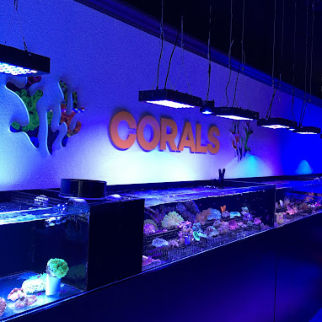 Ocean View Aquariums