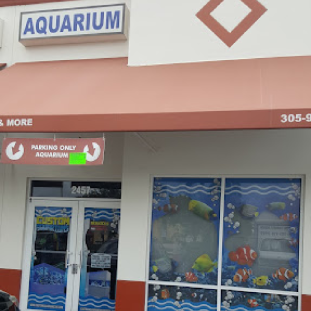 Custom Aquarium305