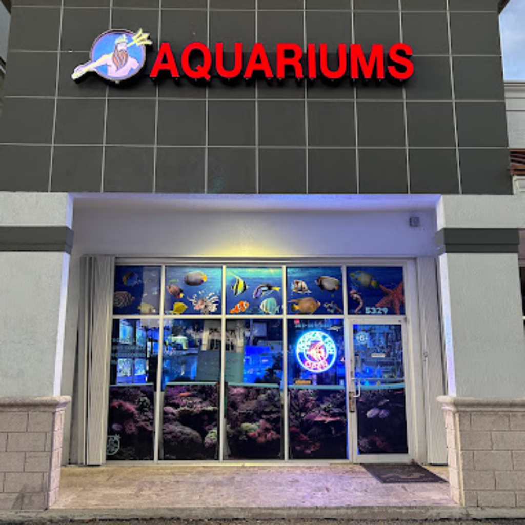 Neptunes Aquarium Store