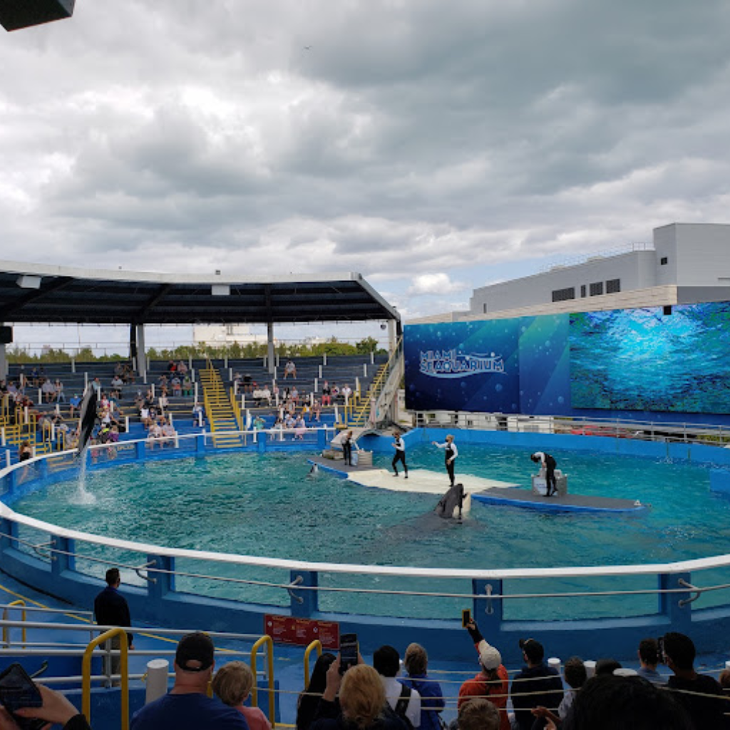 Miami Seaquarium