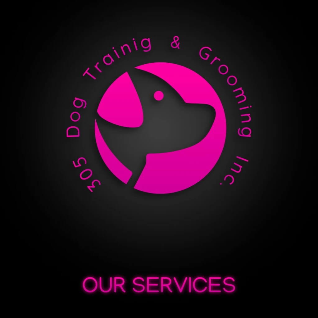 305 Dog Training & Grooming