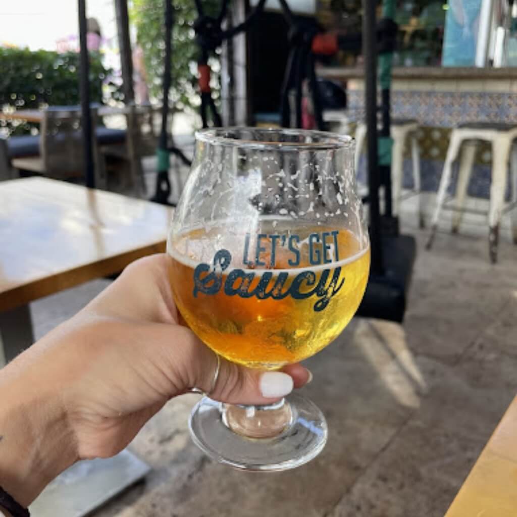 Bebidas Premium