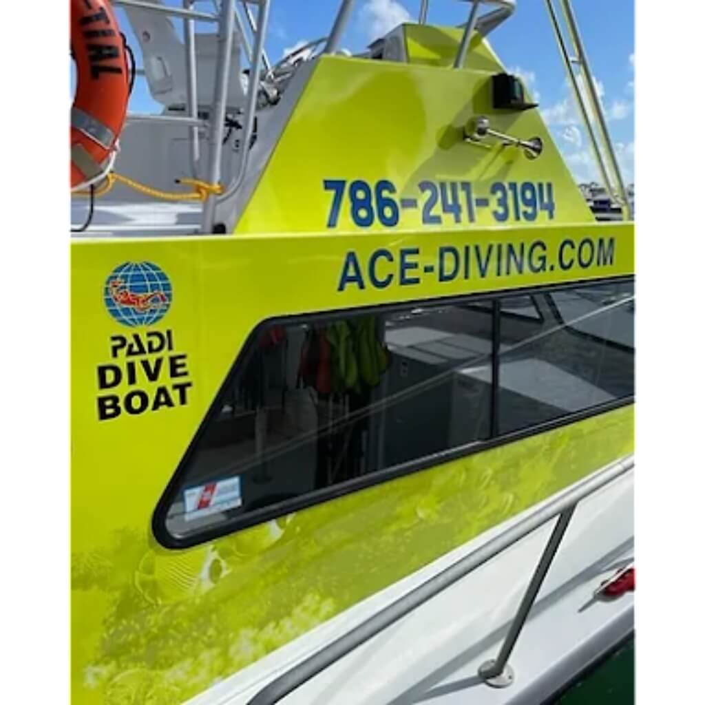 Ace Diving Miami