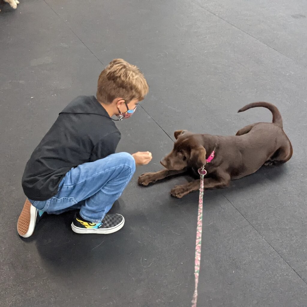 Adiestramiento Applause Your Paws, Inc