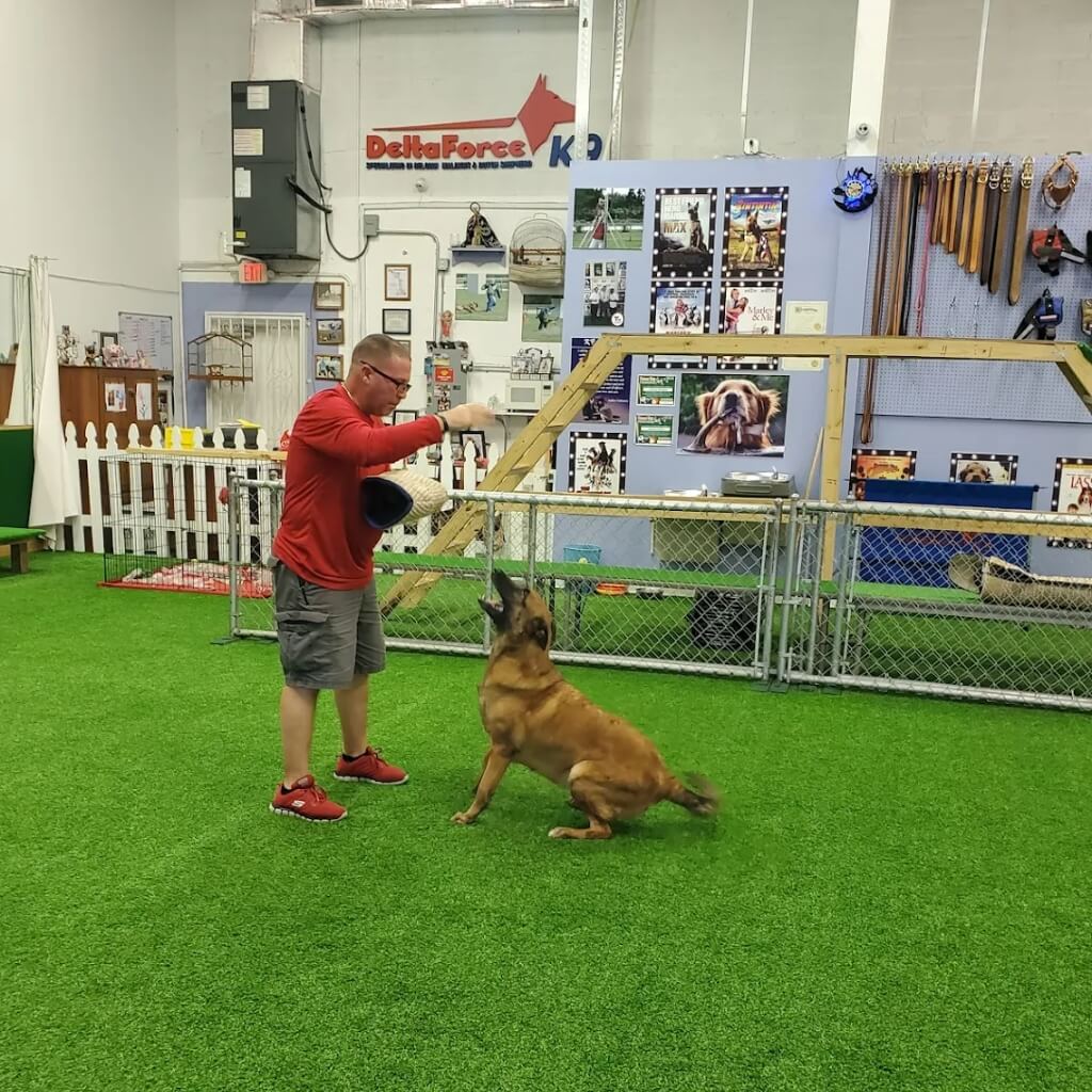 Adiestramiento Delta Force K-9