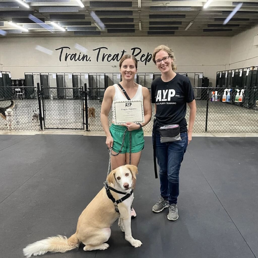 Adiestrar Applause Your Paws, Inc