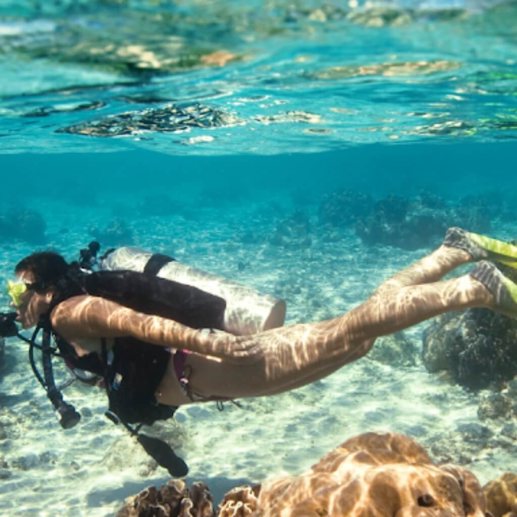 Buceo Scuba Diving In Miami - Squalo Divers