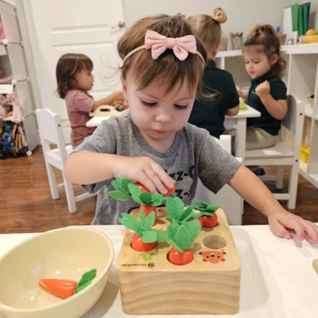 Curso West Miami Montessori Learning Academy