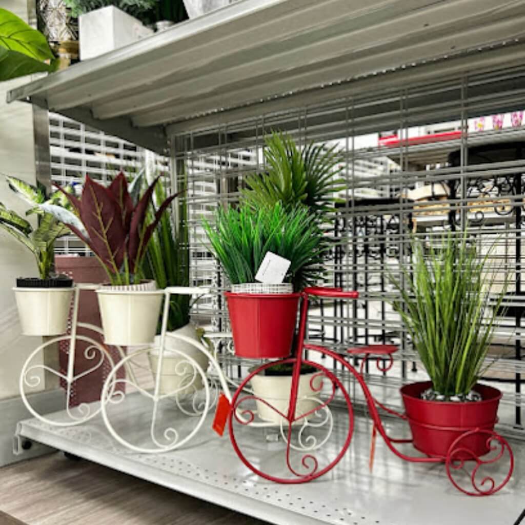 Decoración Burlington