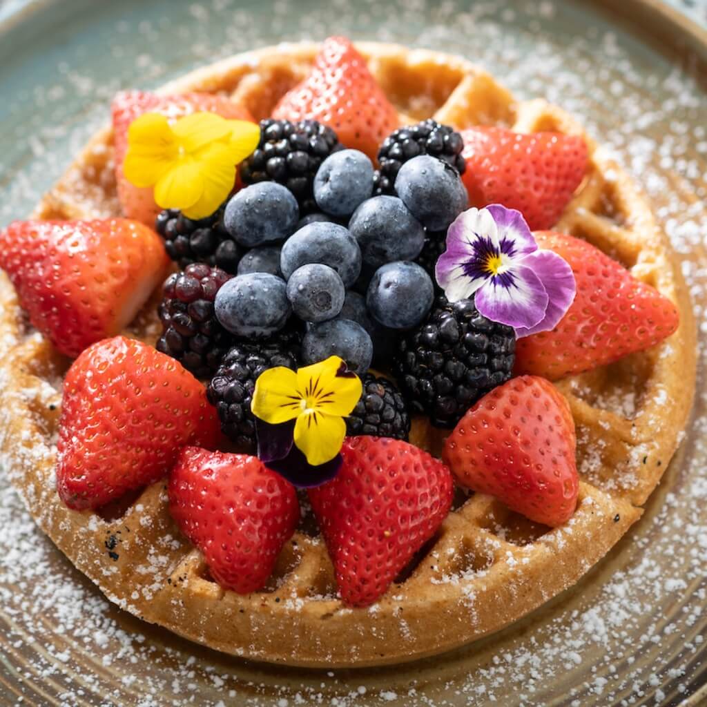 Area 31 - waffles