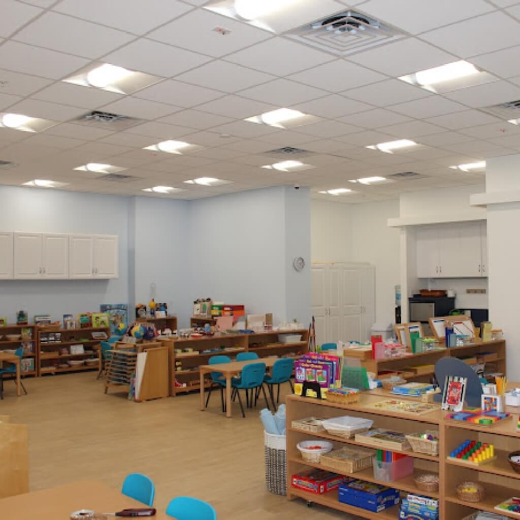 Juegos Green Explorers Academy