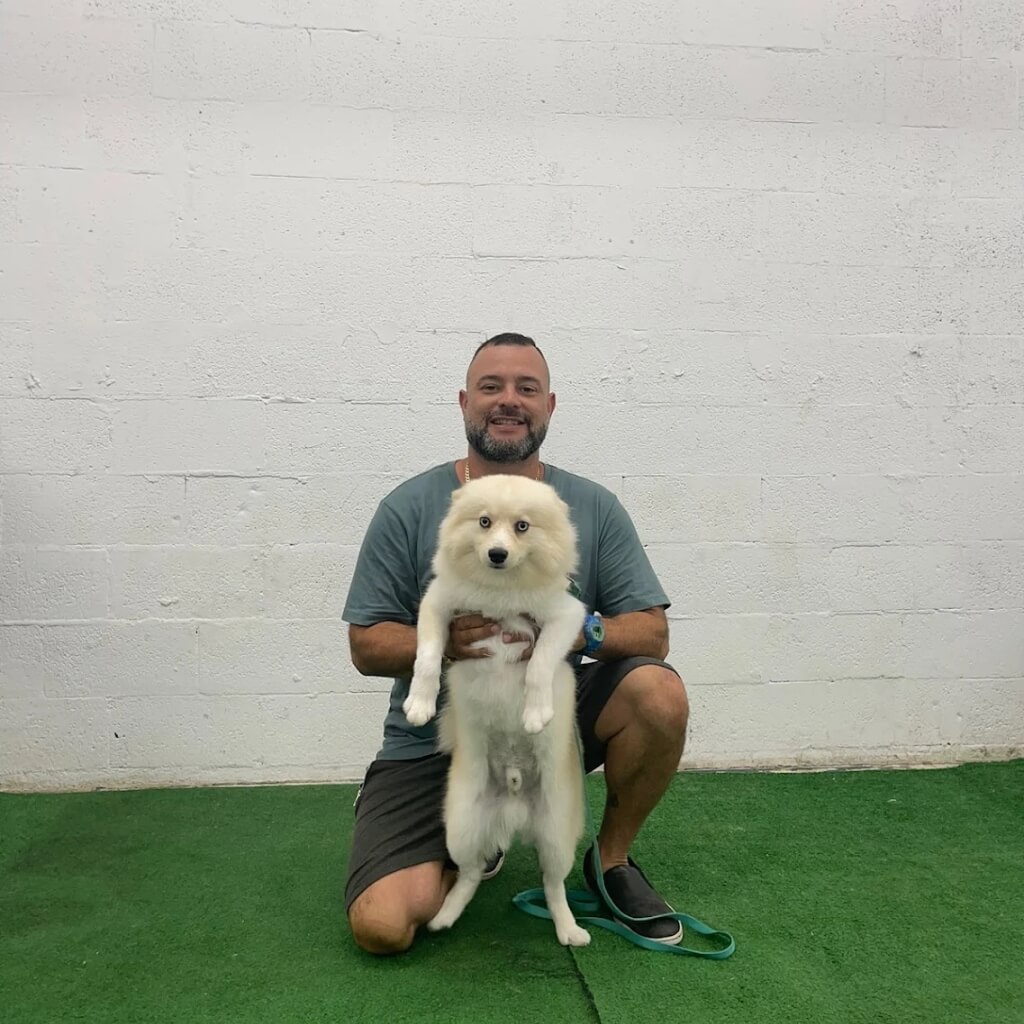 Entrenamiento 305 Dog Training & Grooming