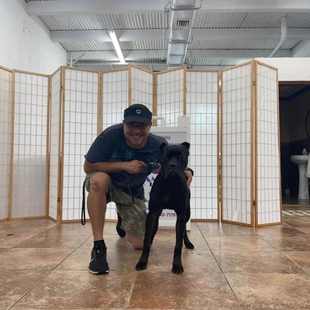 Entrenar 305 Dog Training & Grooming