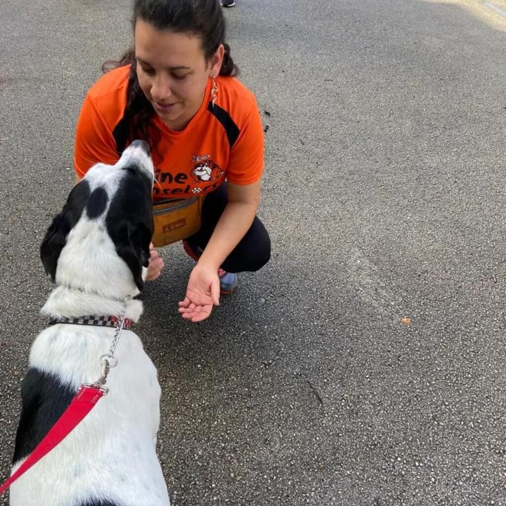 Entrenar Canine Counselors