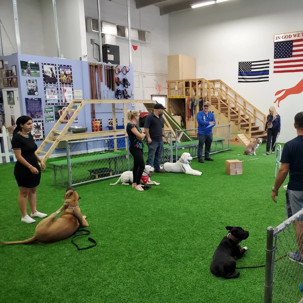 Entrenar Delta Force K-9