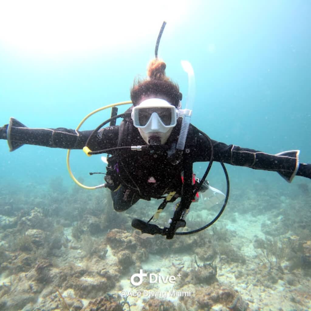 Equipo Ace Diving Miami