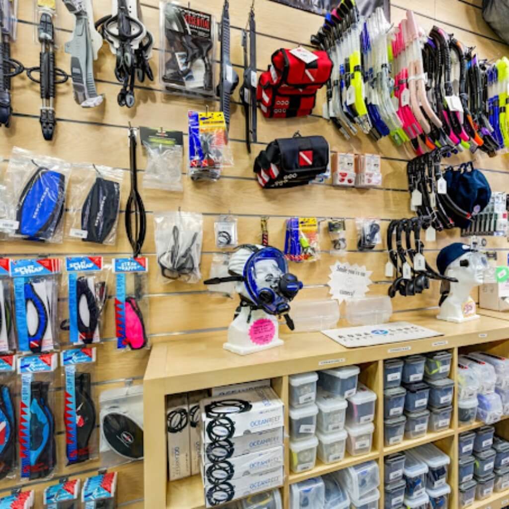 Equipo Scuba Diving In Miami - Squalo Divers