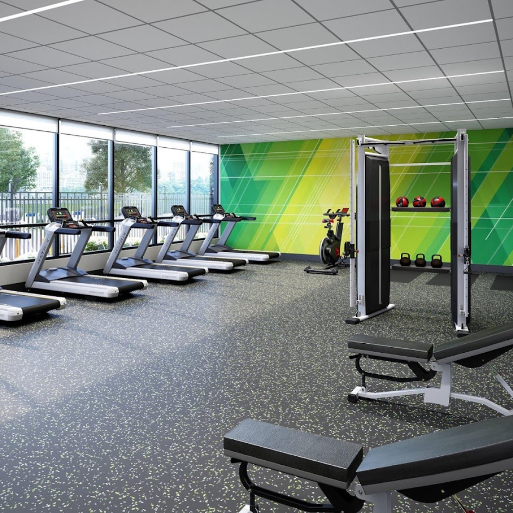 Gimnasio