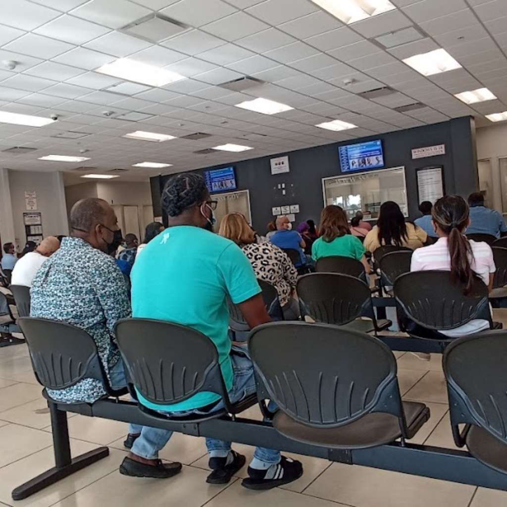 Miami Auto Liquidators - Modelos