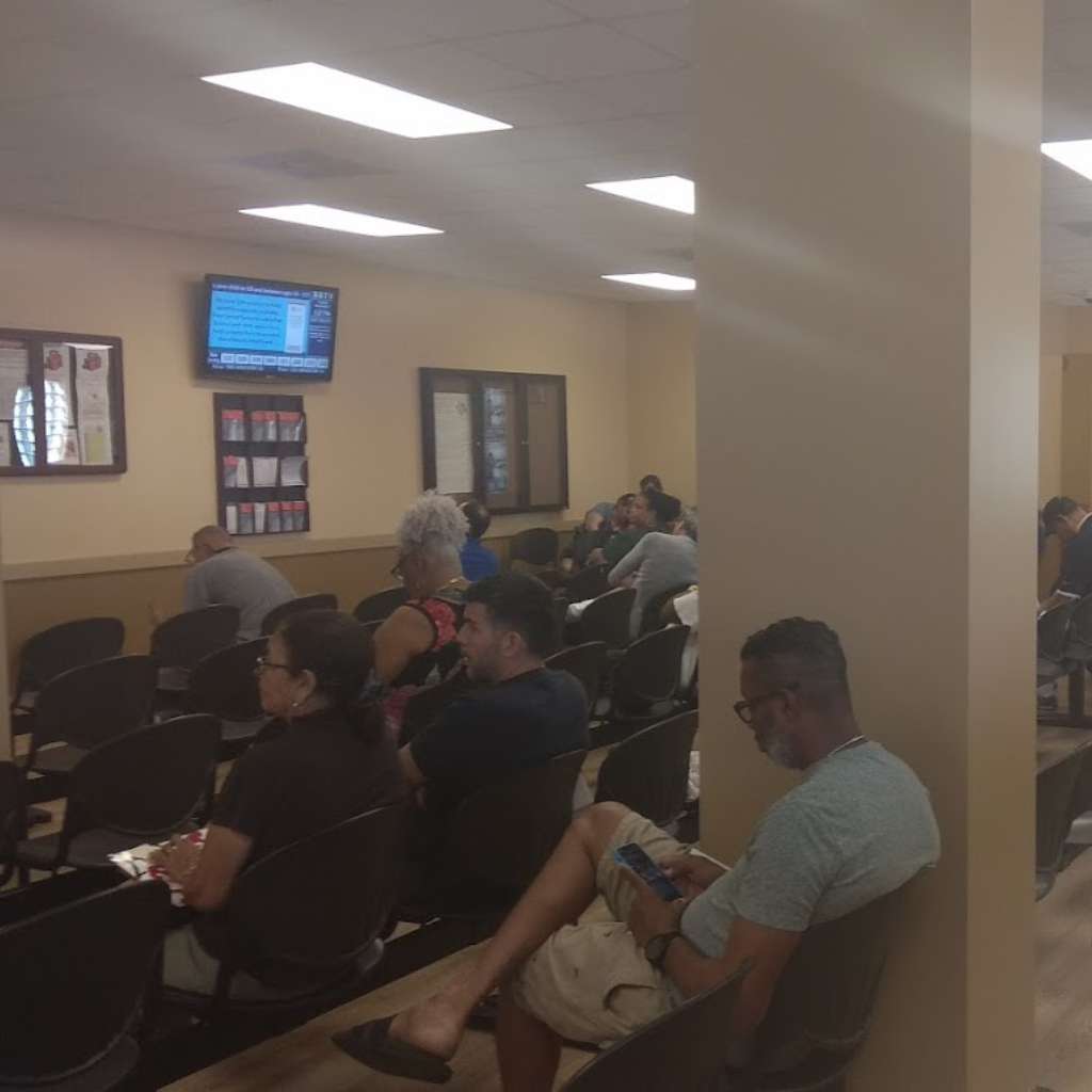 Miami Auto Liquidators - Modelos