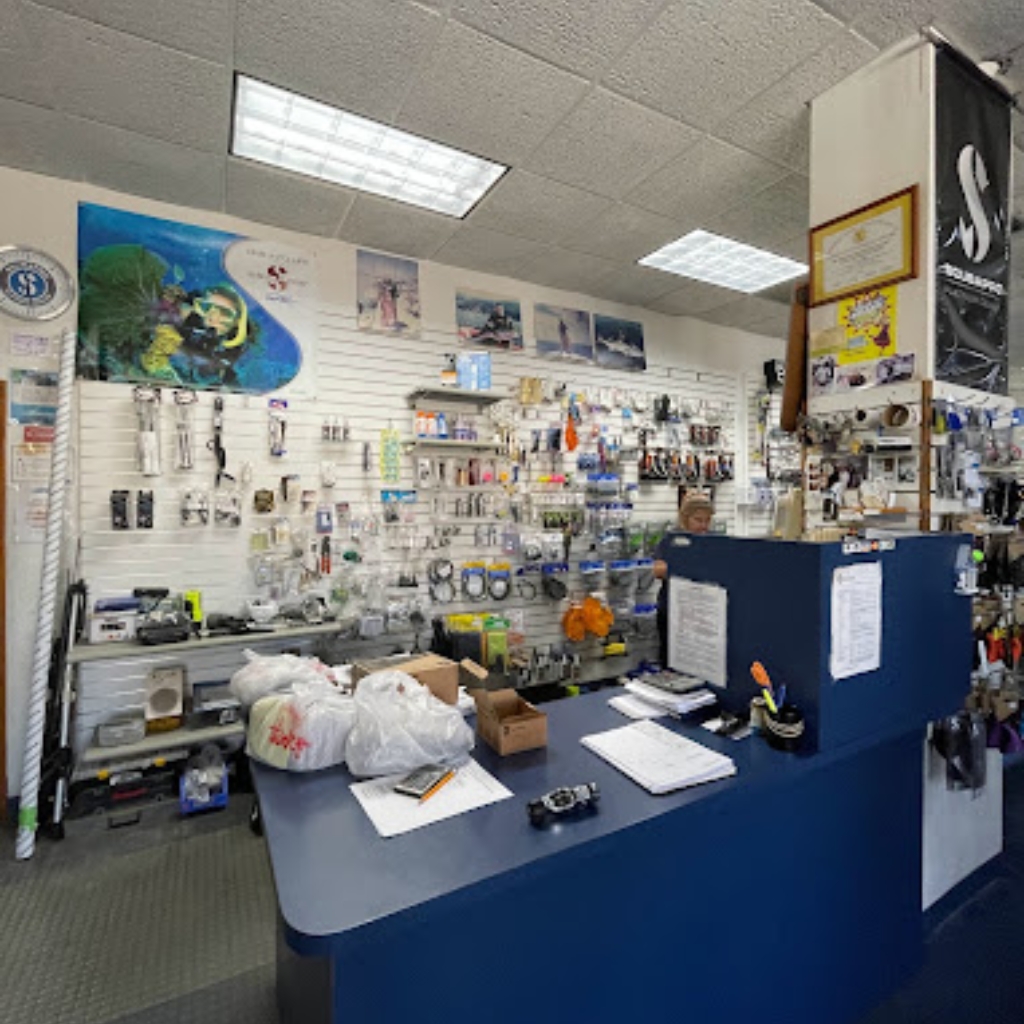 Ocean Safari Diving Adventures
