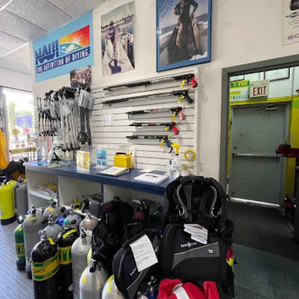 Ocean Safari Diving Adventures
