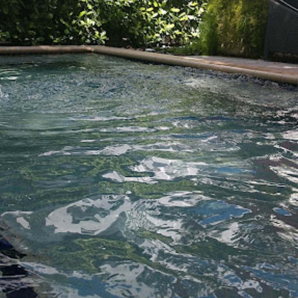 Piscina Metropole Suites South Beach