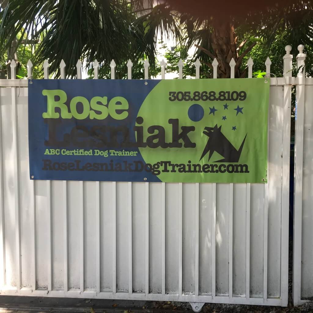 Rose Lesniak Dog Trainer