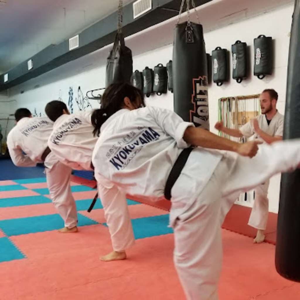 Master Kim's Taekwondo & Hapkido Miami Alumnos Practicas
